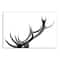 Modern Antlers 20" x 30" Canvas Wall Art